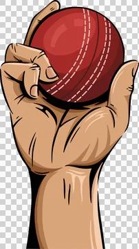 Flat illustration is showing human hand holding red cricket ball against Stock Illustration