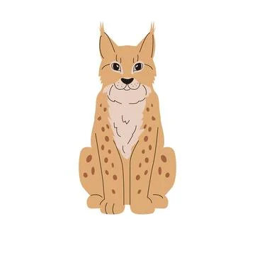 Flat illustration of a sitting lynx facing forward, with tan fur, dark spots Stock Illustration