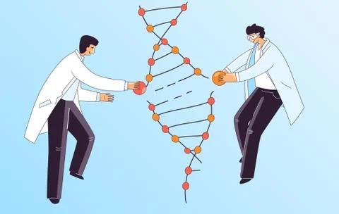 Flat Illustration of Two Scientist Man, Characters Doing Genetic DNA Gene Stock Illustration