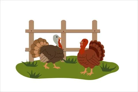 Flat illustration of two turkeys standing on green grass near a wooden fence Illustrazione stock
