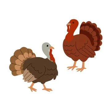Flat illustration of two turkeys in warm brown and red tones, each in a Stock Illustration