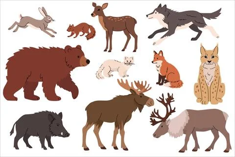 Flat illustration of various forest animals including bear, moose, deer, boar Stock Illustration