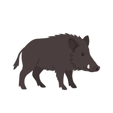 Flat illustration of a wild boar in side profile with dark brown bristly fur and Stock Illustration