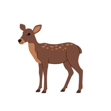 Flat illustration of a young deer with light spots on its back and a gentle Stock Illustration