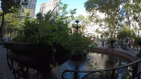 Flat Iron Time laps Stock Footage 101207545