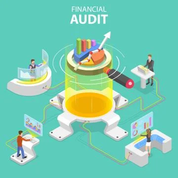 Flat isometric vector concept of financial audit service, tax examination report Stock-Illustration