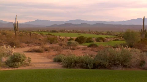 Flat land with cactus cacti desert New Mexico California Arizona golf course Stock Footage 125277939