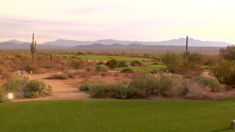 Flat land cactus cacti New Mexico California Arizona desert Stock Footage 125277901