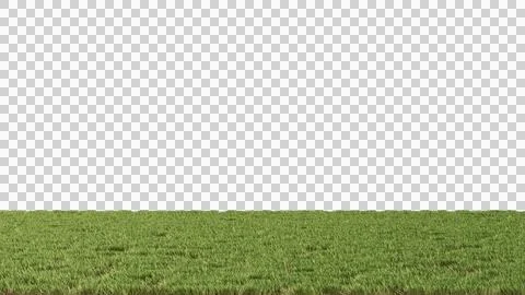 Flat landscape Grass no background Stock Photos