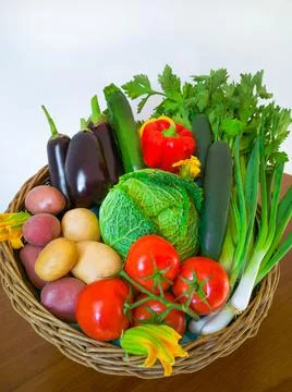 Flat lay and close up assortment of freshly picked vegetable. Vegetables Stock Photos