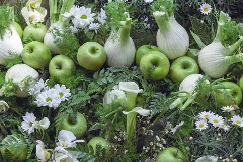 Flat lay and close-up assortment of freshly picked vegetable fennel bulbs and Stock Photos