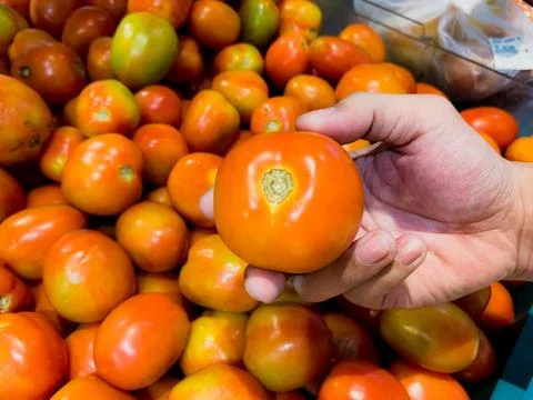 Flat Lay and Close-Up Views of Fresh Tomatoes in a Basket at a Supermarket Stock Photos