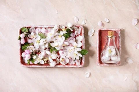 Flat lay apple blooming Stock Photos
