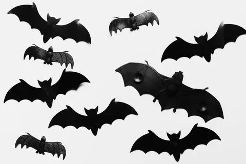 Flat lay arrangement with bats Stock Photos