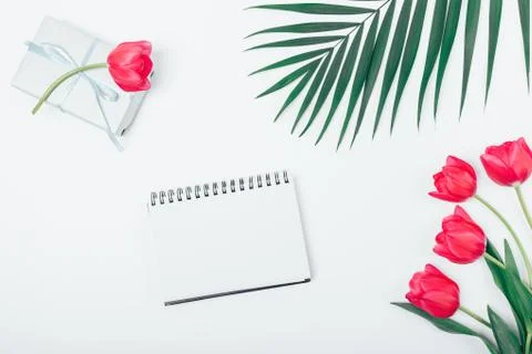 Flat lay arrangement of blank notebook Stock Photos