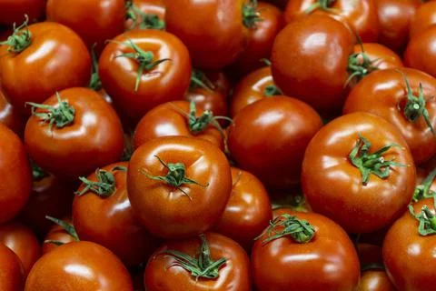 Flat lay arrangement with tomatoes Stock Photos