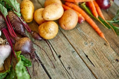 Flat lay of assortment of fresh root vegetables, bio healthy, organic food Stock Photos