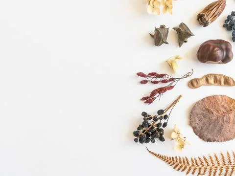 Flat lay autumn border of various autumn forest materials Fotos de archivo
