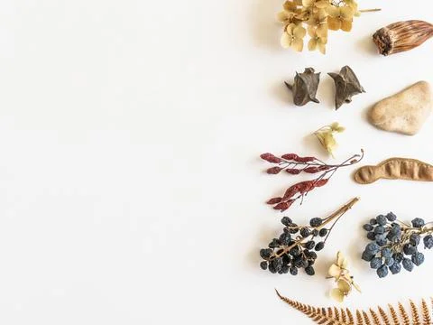 Flat lay autumn border of various autumn forest materials Stock Photos