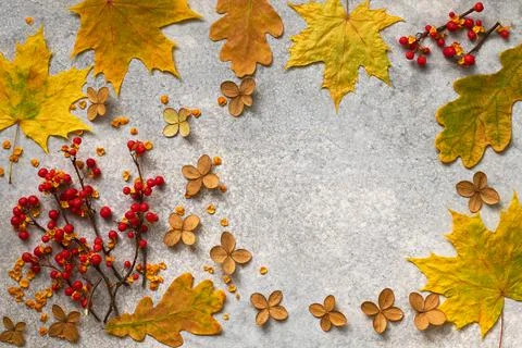 Flat lay autumn composition with fallen leaves and dry flowers Stock Photos