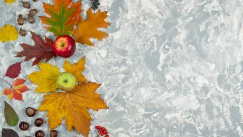 Flat lay autumn composition made of autumn leaves, acorn, chestnut and apples Stock-Fotos
