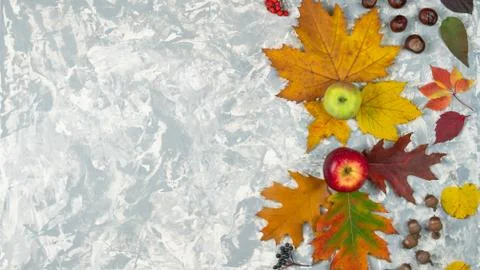 Flat lay autumn composition made of autumn leaves, acorn, chestnut and apples Stock Photos