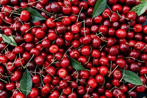  Flat lay background with heap of fresh red sweet cherry Flat lay backgrou... Foto stock