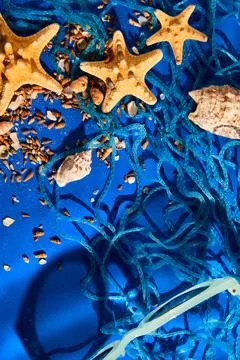 Flat lay background with starfish, seashells on blue water texture with sunli 库存照片