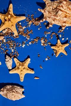 Flat lay background with starfish, seashells on blue water texture with sunli Stockfoto's