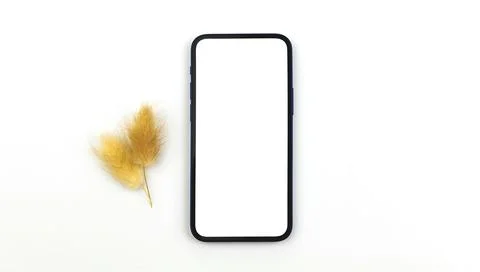 Flat lay blank white screen with dried grass on a white isolated background,  Stock Photos