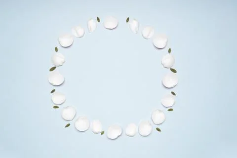 Flat lay blossoms in frame on blue paper background Stock Photos