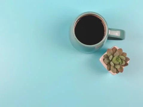 Flat lay of blue cup of black coffee and succulent or cactus plant pot on blu Stock Photos