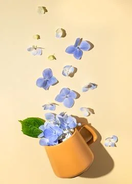Flat lay bouquet of blue hydrangea flowers falling out of a yellow cup Stock Photos