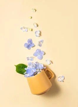 Flat lay bouquet of blue hydrangea flowers falling out of a yellow cup on a.. Foto stock