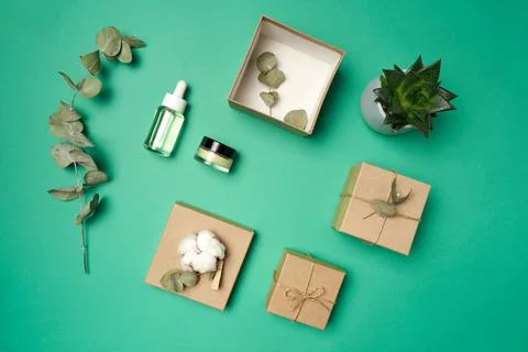 Flat lay boxes, eucalyptus, cotton, cosmetic bottle, jar, succulent on green Stock Photos