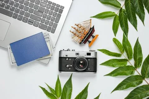 Flat lay of camera laptop phone and plant on white desk Stock Photos