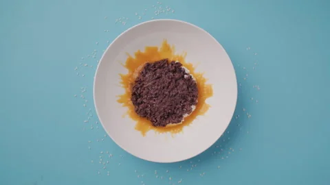 Flat Lay Chocolate Dessert Plate Stop Motion Stock Footage 255677548