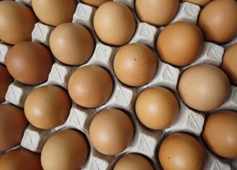 Flat lay Close-up view of raw chicken eggs in egg paper box.Overhead view of  Foto stock