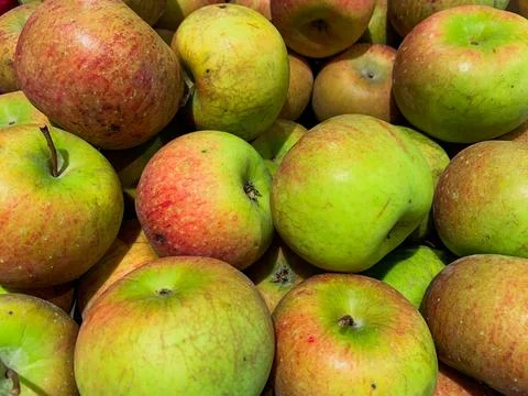 Flat Lay, Close-Up View of Various Types of Apples in a Basket at a Supermark Stock Photos