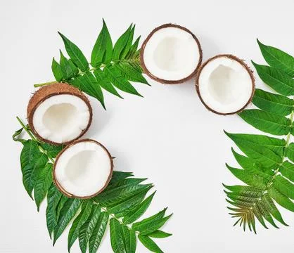 Flat lay coconut with half and leaves on white background. Hello summer! Gree Stock Photos