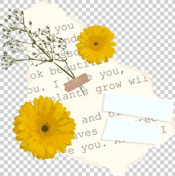 Flat-lay collage is floating on clear background with typed text, floral sprigs, Stock Illustration