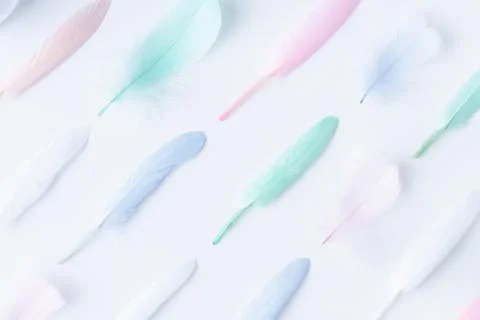 Flat lay of colored feathers arranged in diagonal rows Stock Photos