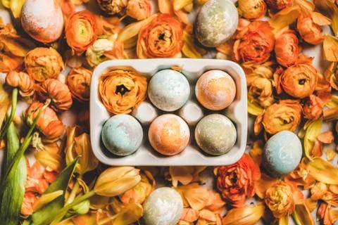 Flat-lay of colorful dyed Easter eggs over orange flower petals Stock Photos