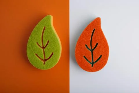Flat lay with colorful leaf shaped sponges for home and dishes cleaning on Stock Photos