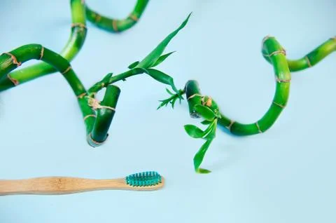 Flat lay composition with bamboo toothbrush and space for text Stock Photos
