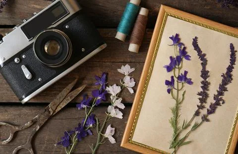 Flat lay composition with beautiful dried flowers, vintage camera and photo f Foto stock