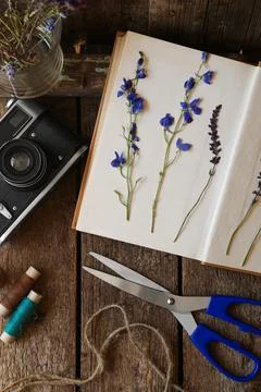 Flat lay composition with beautiful dried flowers and vintage camera on woode Foto stock