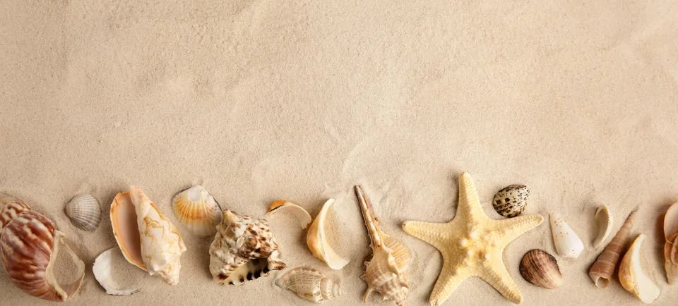 Flat lay composition with beautiful starfish and sea shells on sand, space fo Foto stock