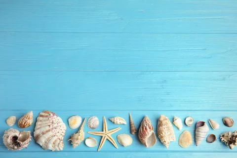 Flat lay composition with beautiful starfish and sea shells on blue wooden ta Foto stock