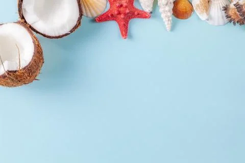 Flat lay composition with beautiful starfishes, sea shells and coconut Stock Photos